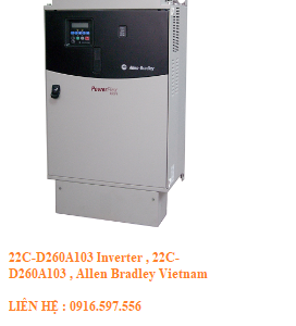 22C-D260A103 Inverter
